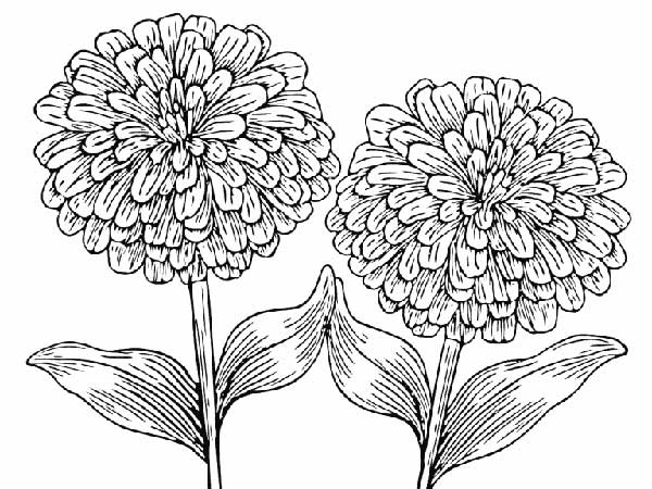 desenho de flor 1 desenhos de flores