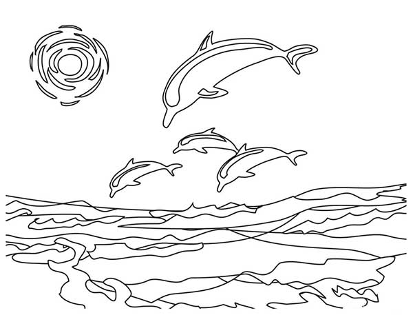 desenho de golfinhos para imprimir