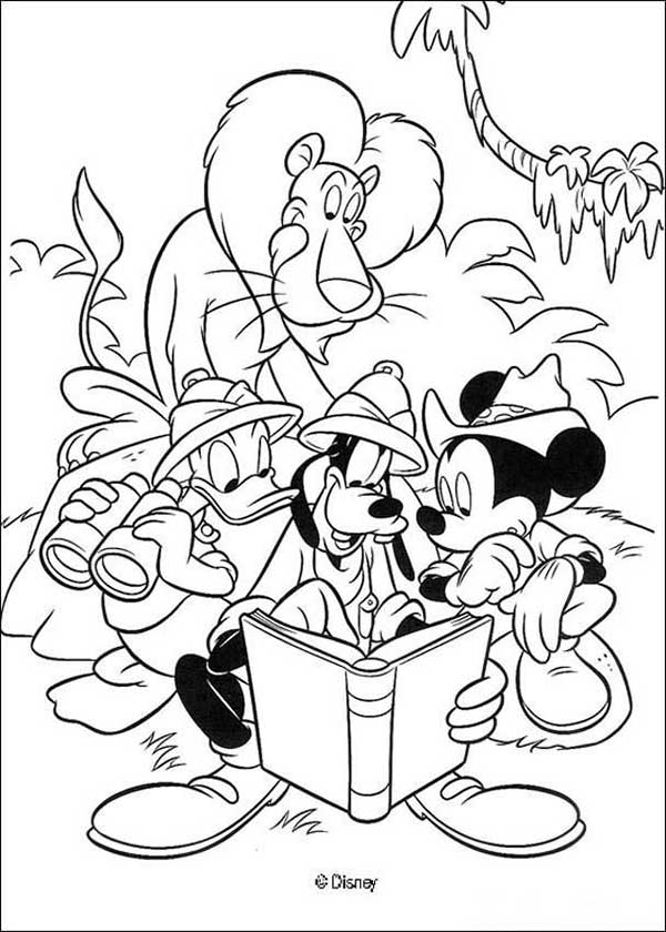 desenhos de safari para pintar