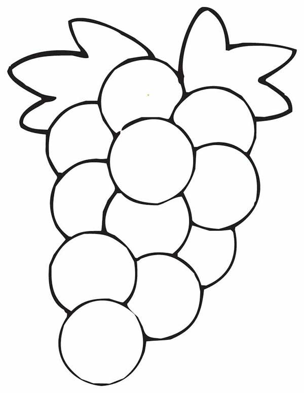 desenhos de frutas desenho de cacho