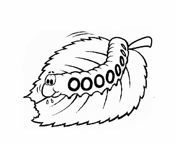 para filhos