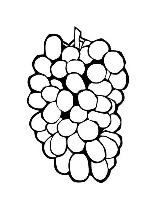 desenhos de uvinhas fresca