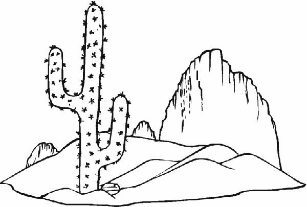 deserto para colorir deserto para colorir