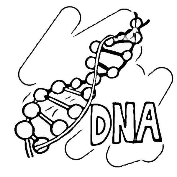 dna desenhos de química