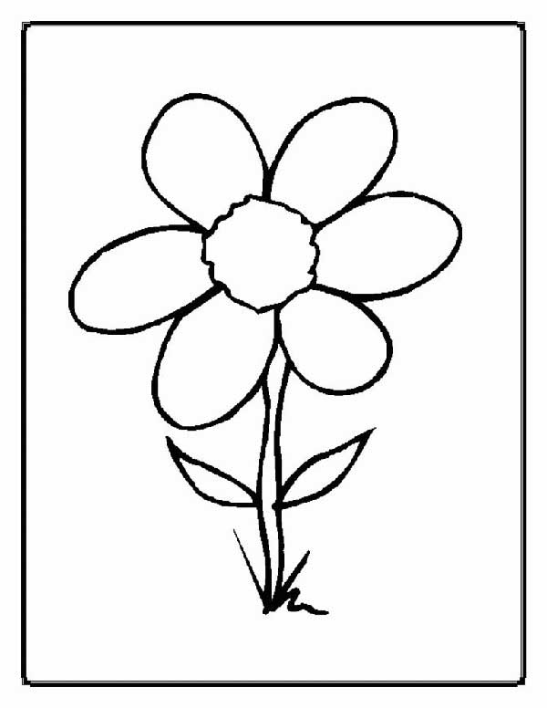 flor para pintar plantas