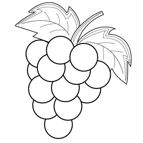 frutas para colorir fruta do inverno