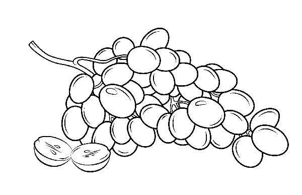 frutas para pintar fruta do frio