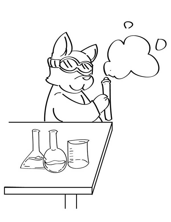 gato cientista desenhos de experimento