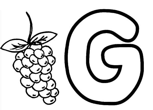 grape nativa da europa
