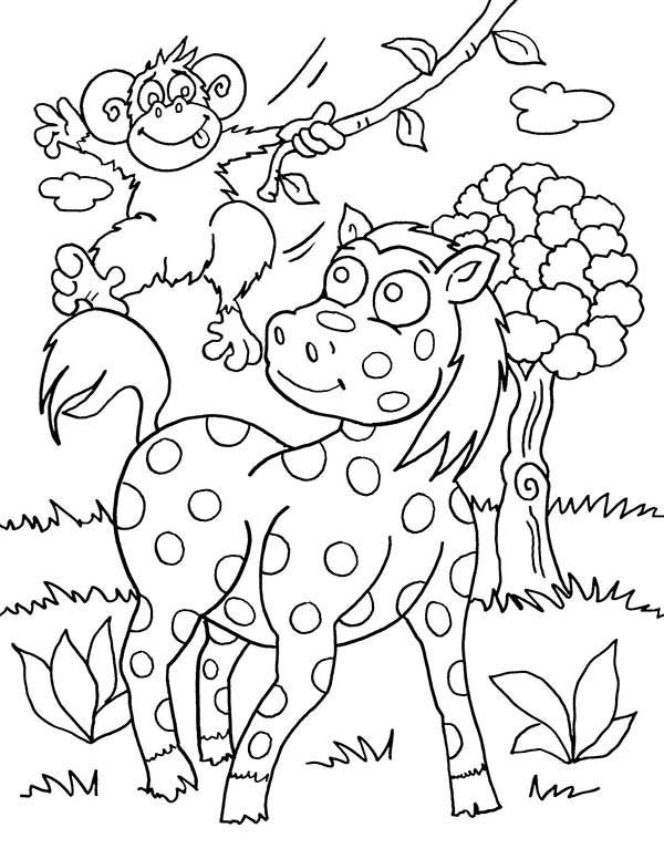 zebra para colorir