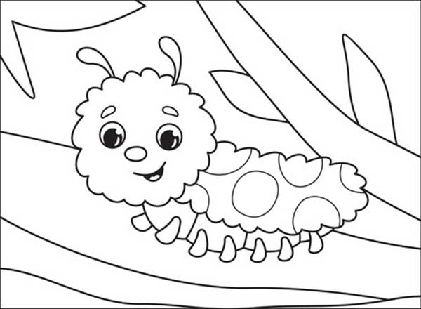 desenhos de lagartas