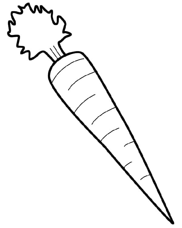 85+ Desenhos de Cenoura para Imprimir e Colorir/Pintar