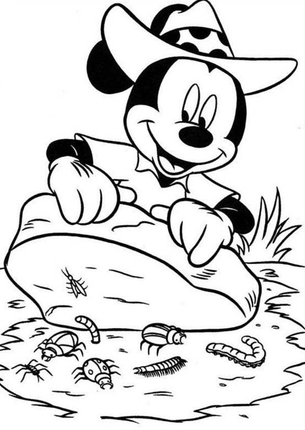 desenhos de safari