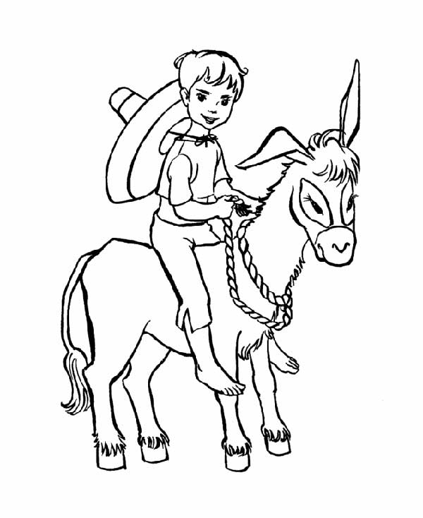 65+ Desenhos de Burro para Imprimir e Colorir/Pintar