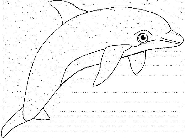 desenhos de golfinho para salvar