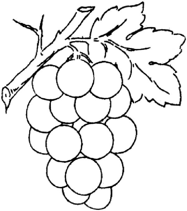 para pintar de verde desenhos de cachos para colorir