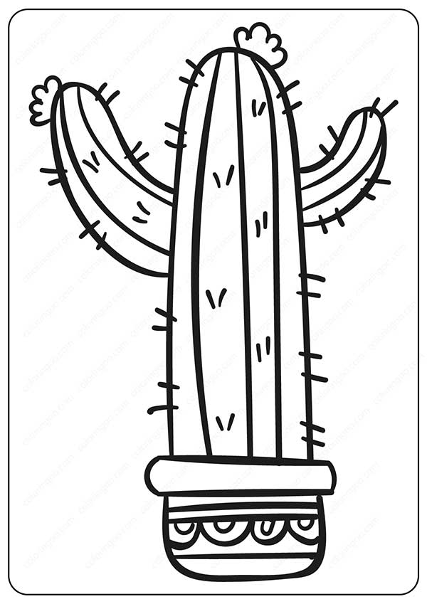 plantas do deserto para colorir plantas do deserto para colorir