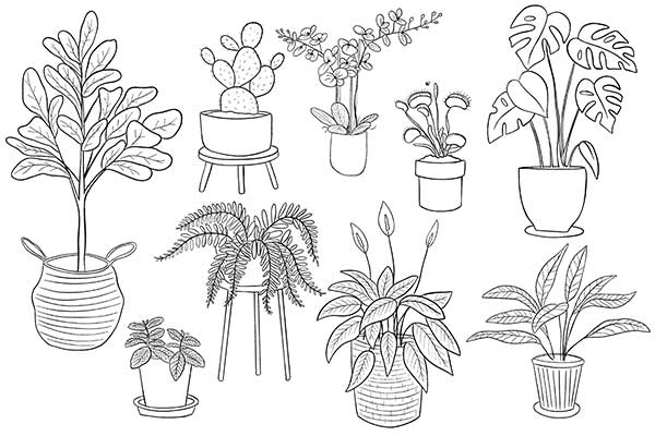 plantas para pintar vasos pequenos