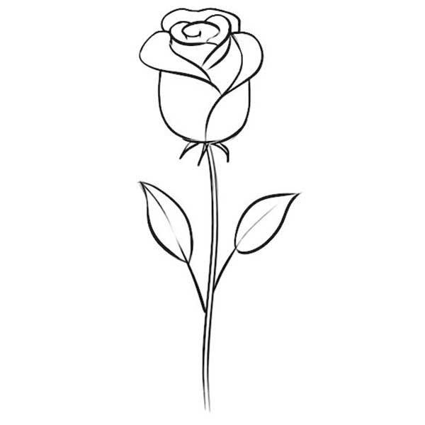 rosa símbolo do amor
