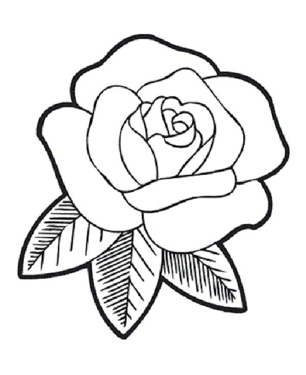 rosas para pintar rosas para pintar