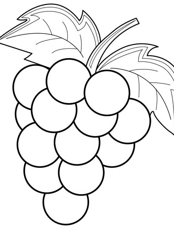 uvas desenhos de cachos