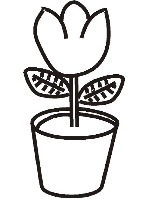 vaso desenhos de plantas