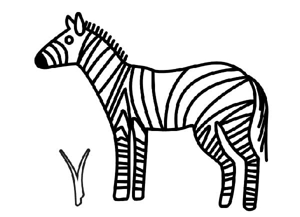 zebra para pintar