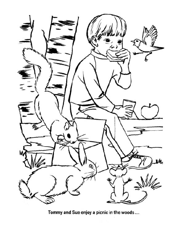 Desenhos de ecologia Desenhos de ecologia