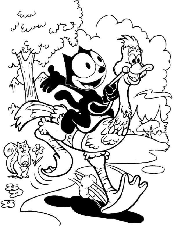 Gato Félix