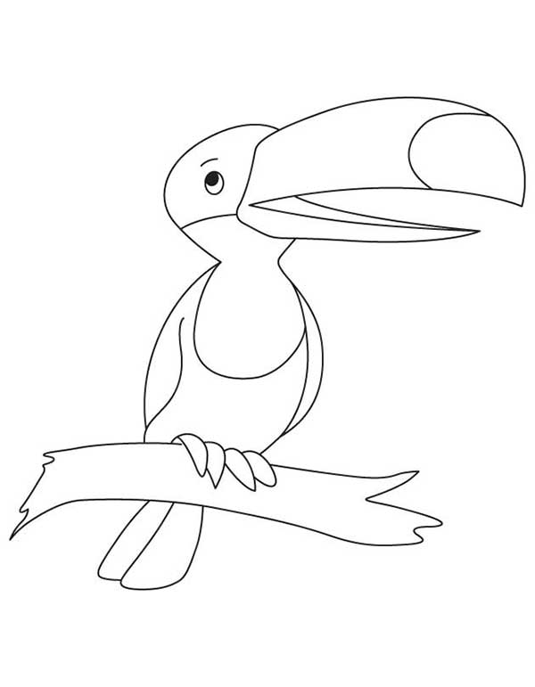 145+ Desenhos de Tucano e Arara para Imprimir e Colorir