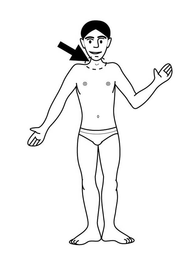desenhos de corpo humano