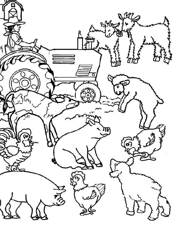 85+ Desenhos da Agricultura e Pecuária para Imprimir e Colorir