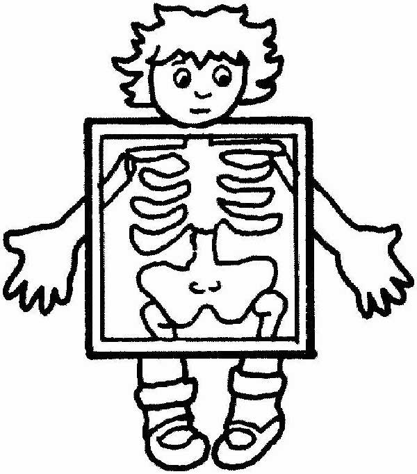 desenhos do corpo humano para imprimir