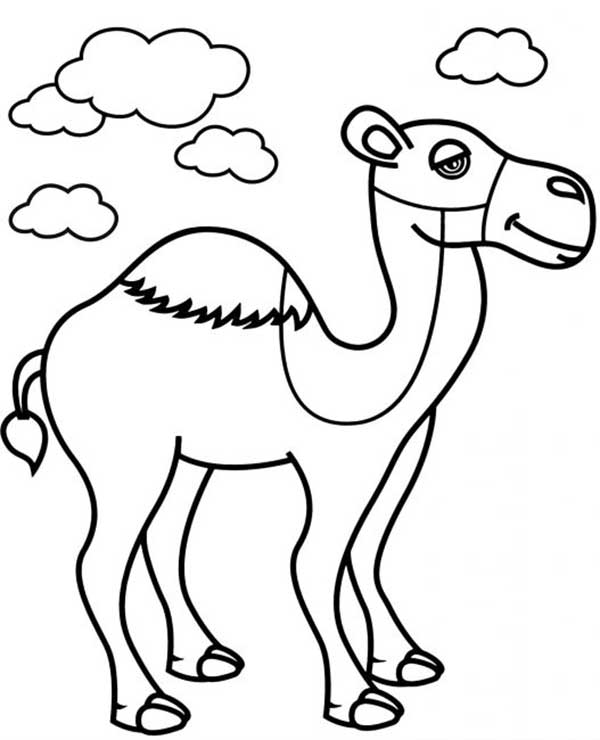 desenhos grandes de camelos desenhos grandes de camelos