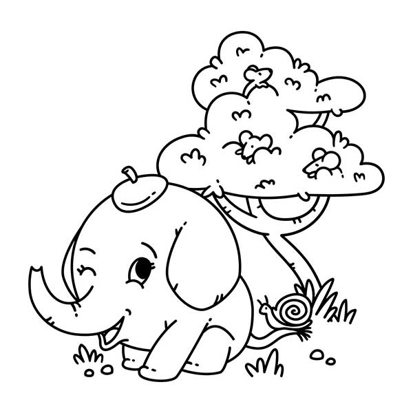 elefante