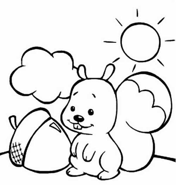 esquilo para pintar desenhos do Meio Ambiente