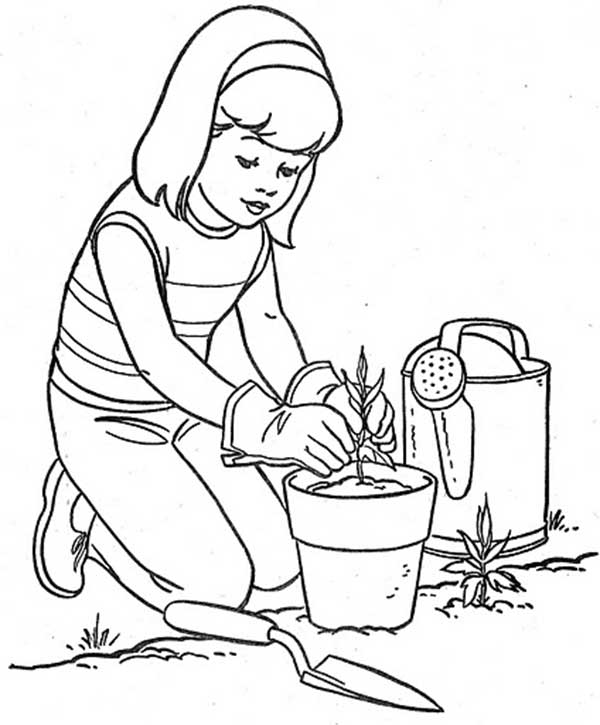 meio ambiente para colorir em casa meio ambiente para colorir em casa