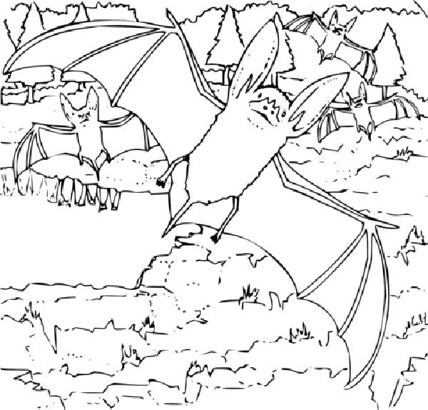 morcegos para pinta morcegos para pinta