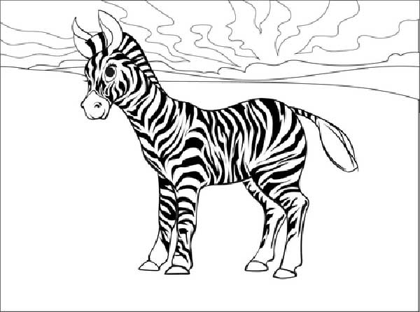 zebra para colorir zebrinha para colorir
