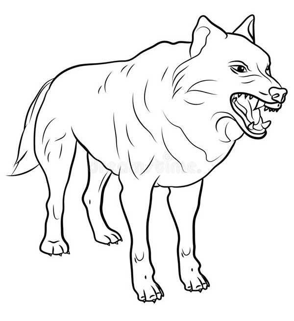 Lobo Mau 3