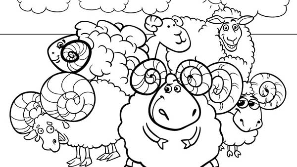 animais na fazenda Shaun, o Carneiro