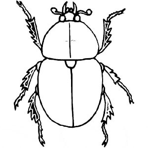 75+ Desenhos de Besouro para Imprimir e Colorir/Pintar
