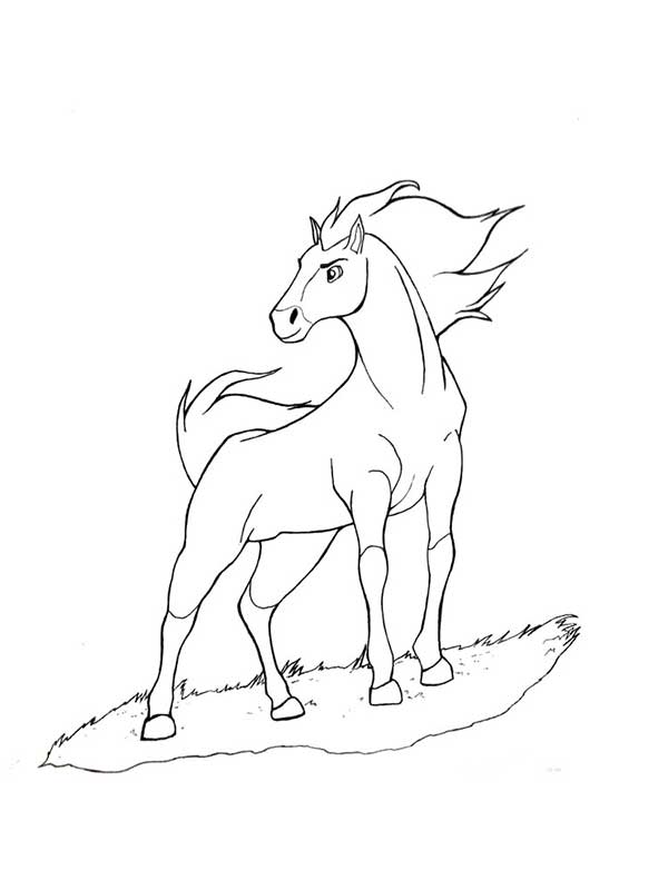 desenhos de cavaloas