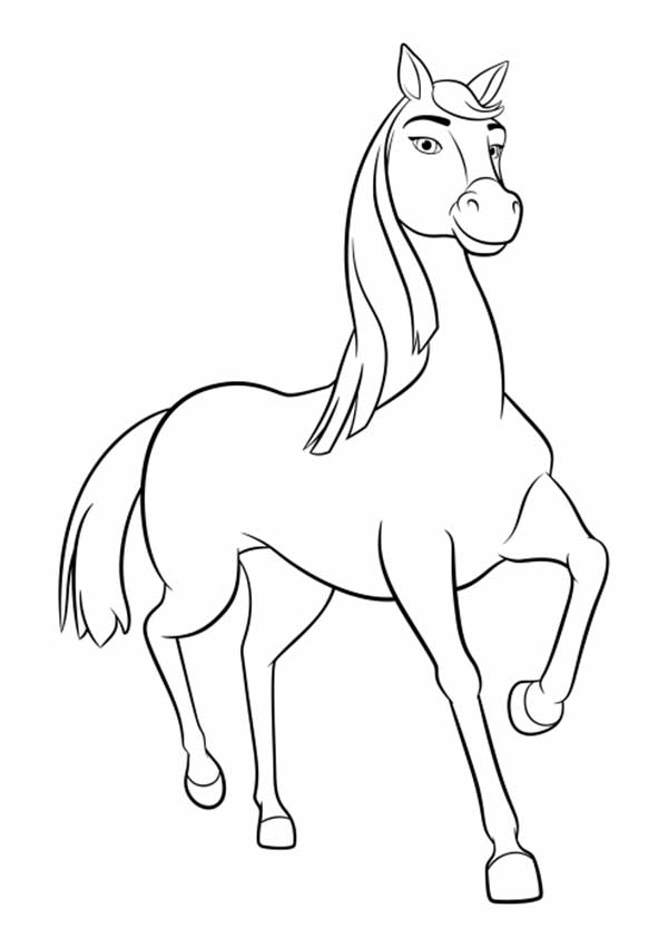 figura de cavalo