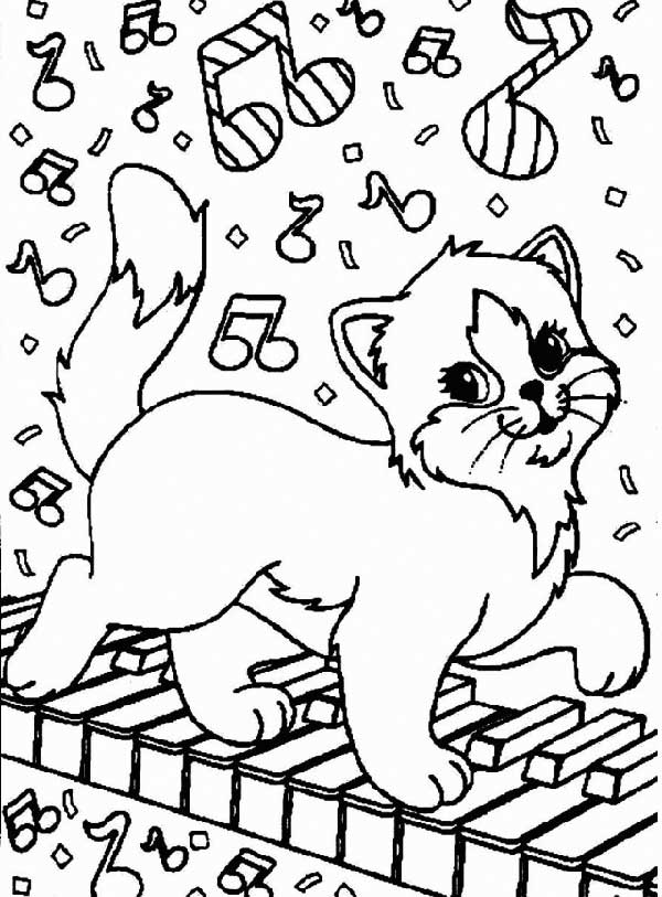 gato para salvar