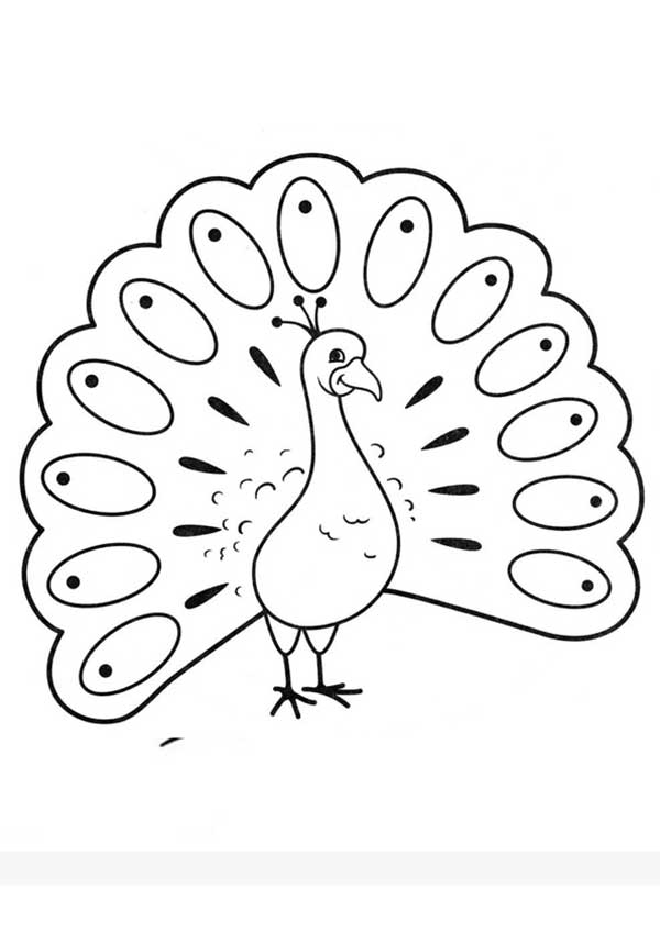 desenhos de pavão para salvar