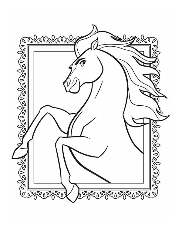 quadro com cavalo