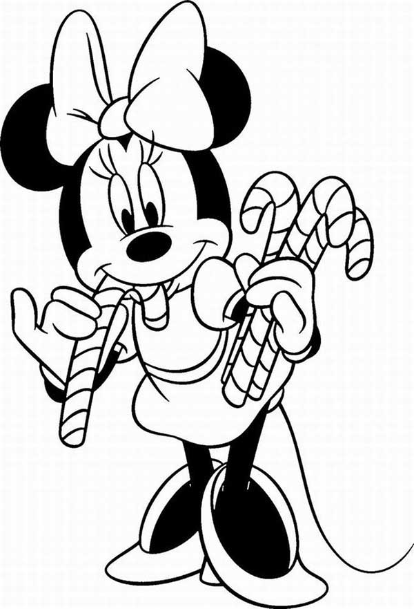 Laco Minnie 1 fotos de laço grande