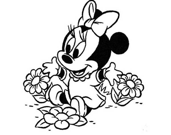 Laco Minnie 5 com flores
