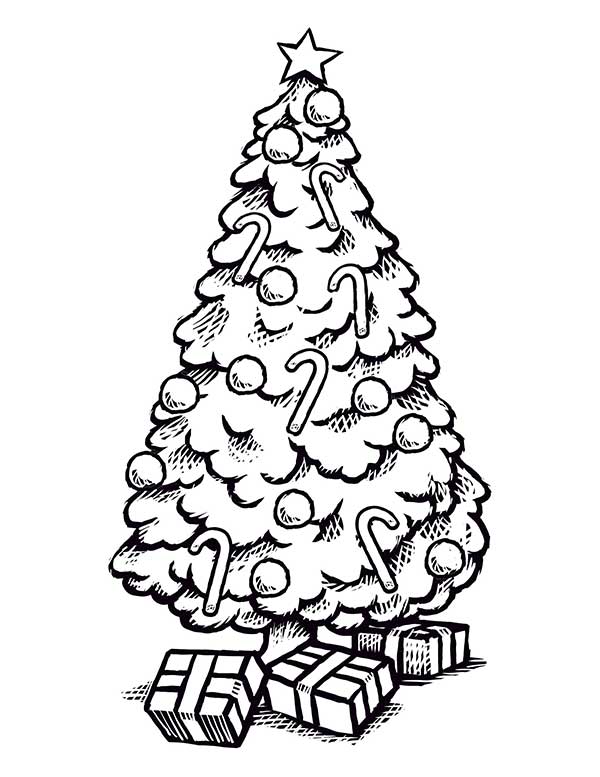 árvore de natal